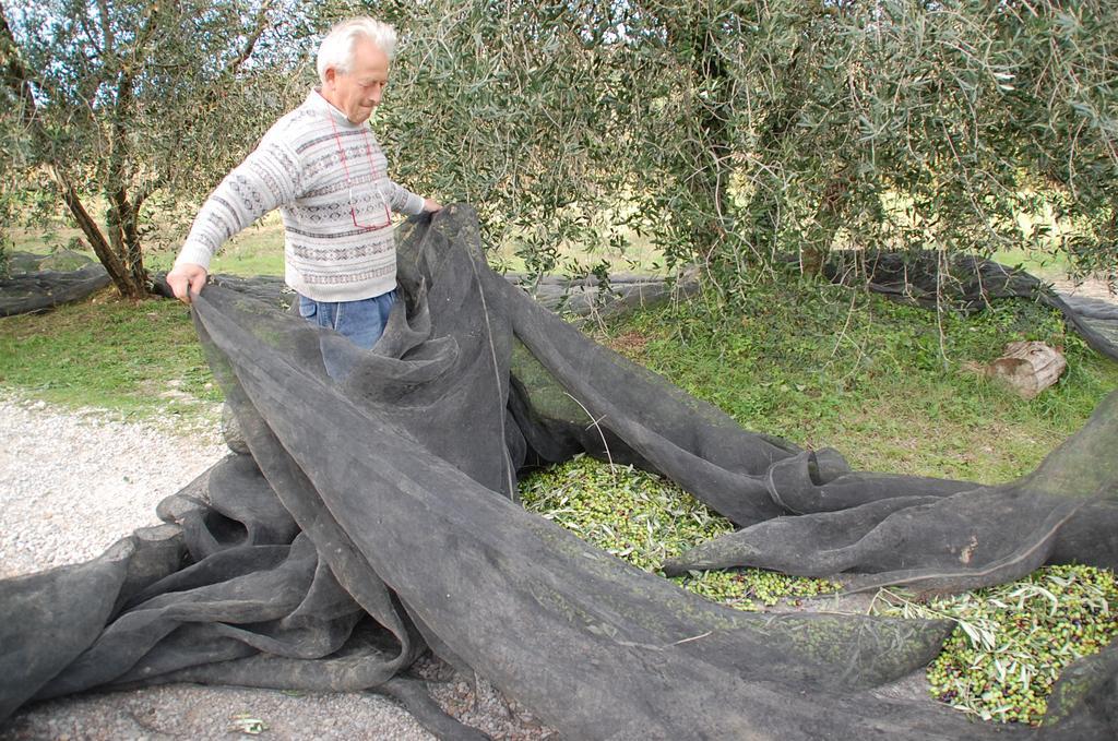 Due Piani Villa Barberino Val d'Elsa Bagian luar foto